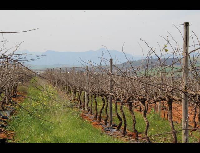 235HA FARM FOR SALE IN MALMESBURY RURAL